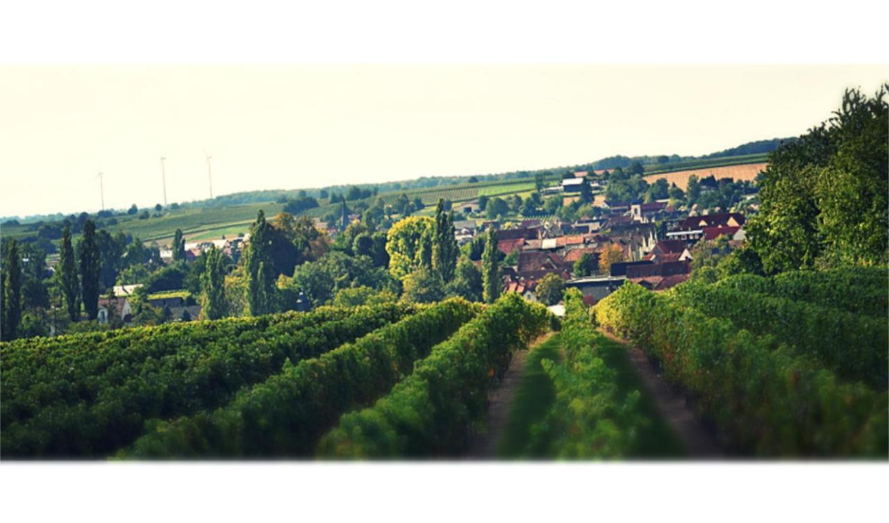 Ferienhaus & Weingut Am Steingebiss Pension Billigheim-Ingenheim Buitenkant foto